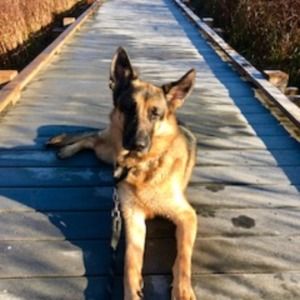 Meet your Posher, Tracy